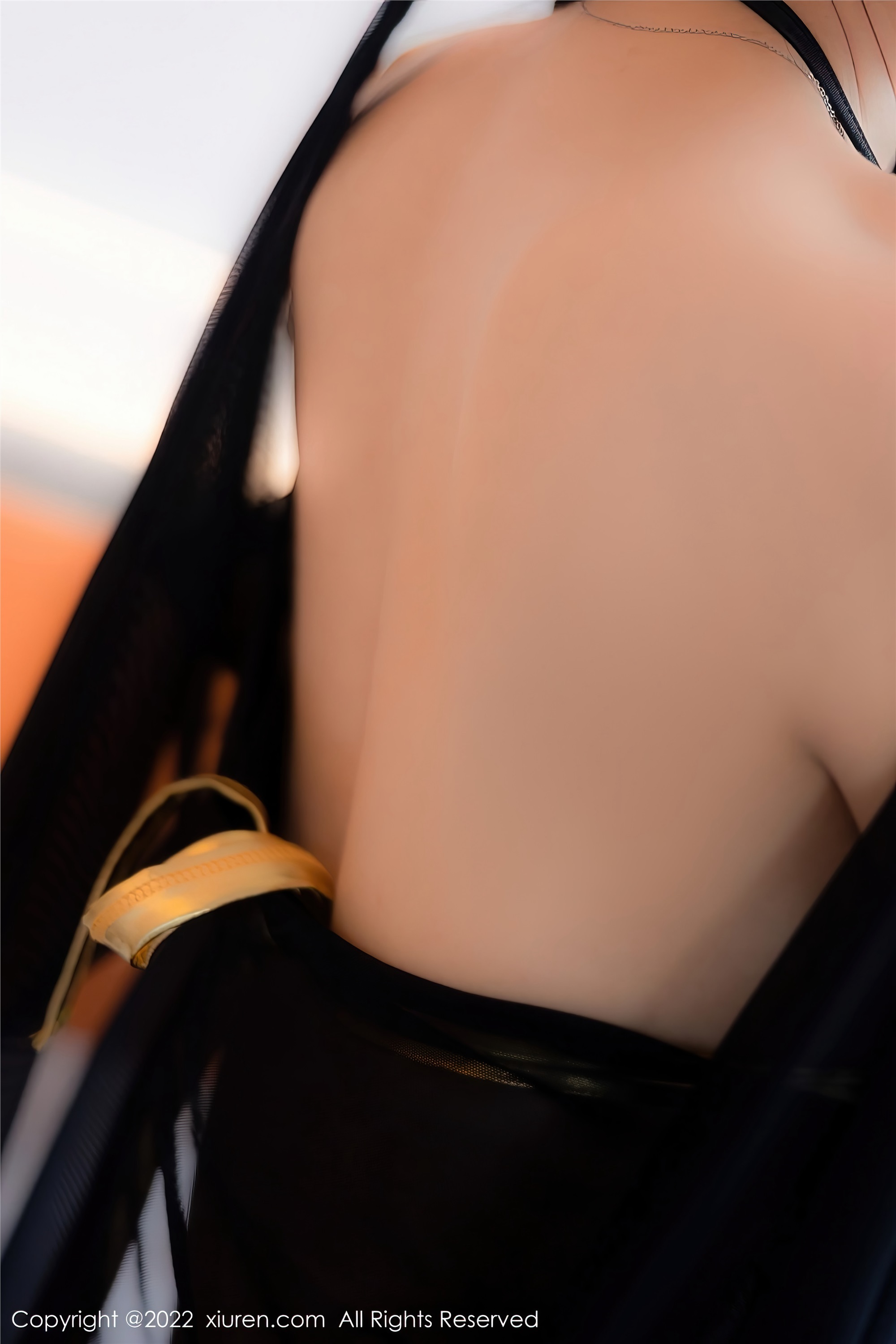 Xiuren秀人网 2022.11.14 NO.5849 李雅柔